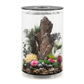 biOrb Tube LED Aquarium Black 30L | Premium 360° Acrylic Fish Tank with LED Lighting