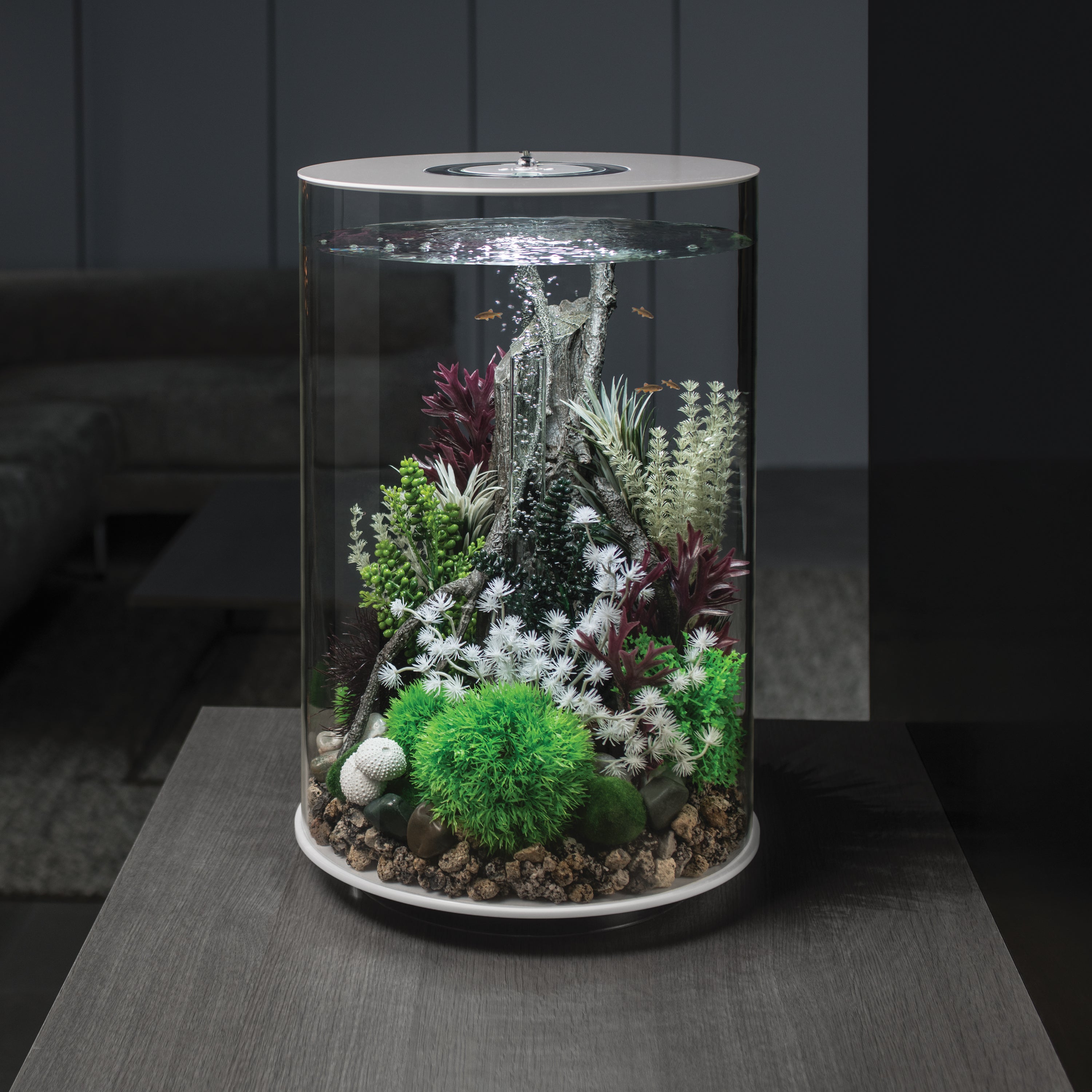 biOrb Tube LED Aquarium Black 30L | Premium 360° Acrylic Fish Tank with LED Lighting