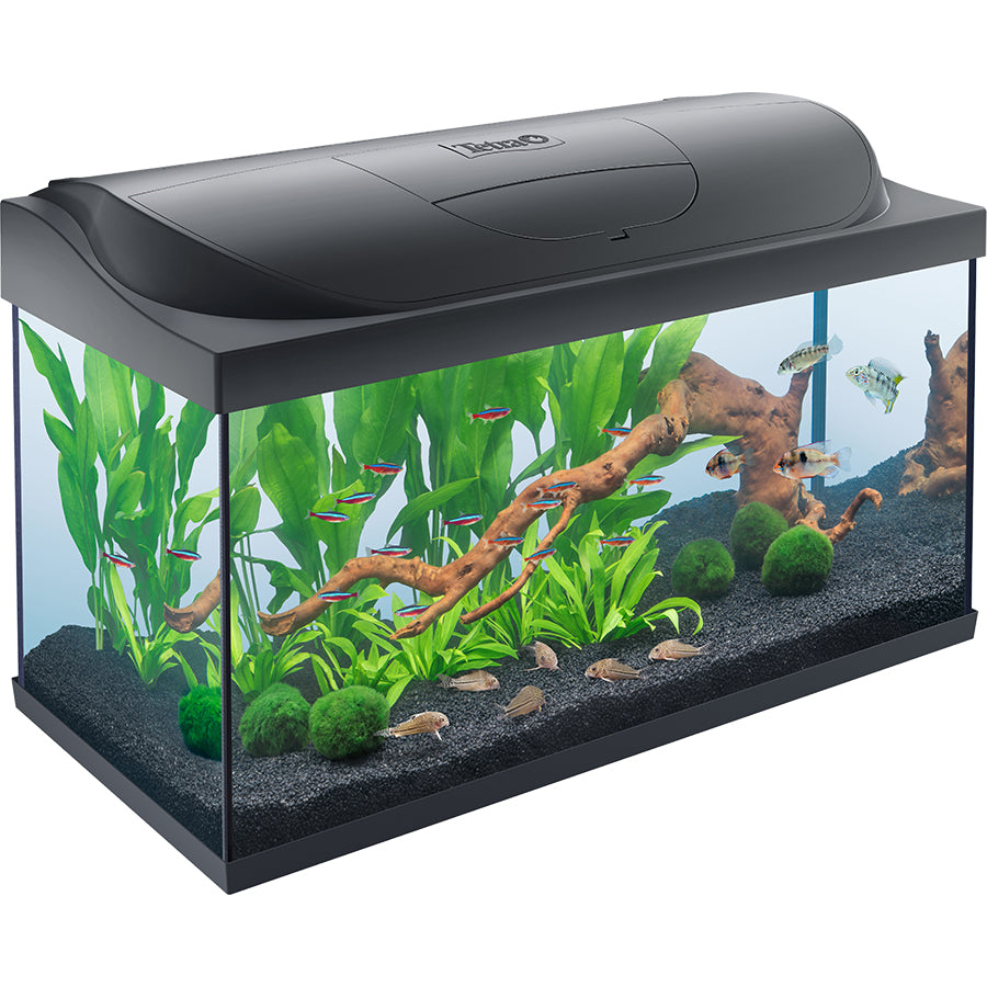Tetra Starter Line Complete Tropical Aquarium Set