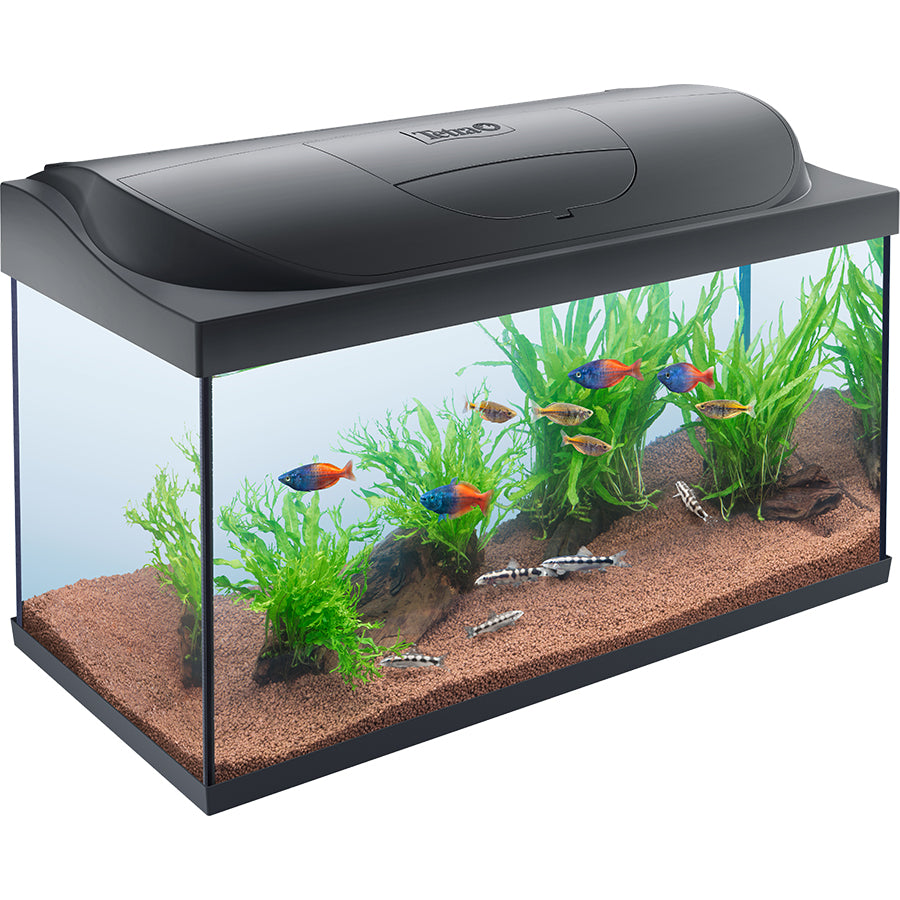 Tetra Starter Line Complete Tropical Aquarium Set