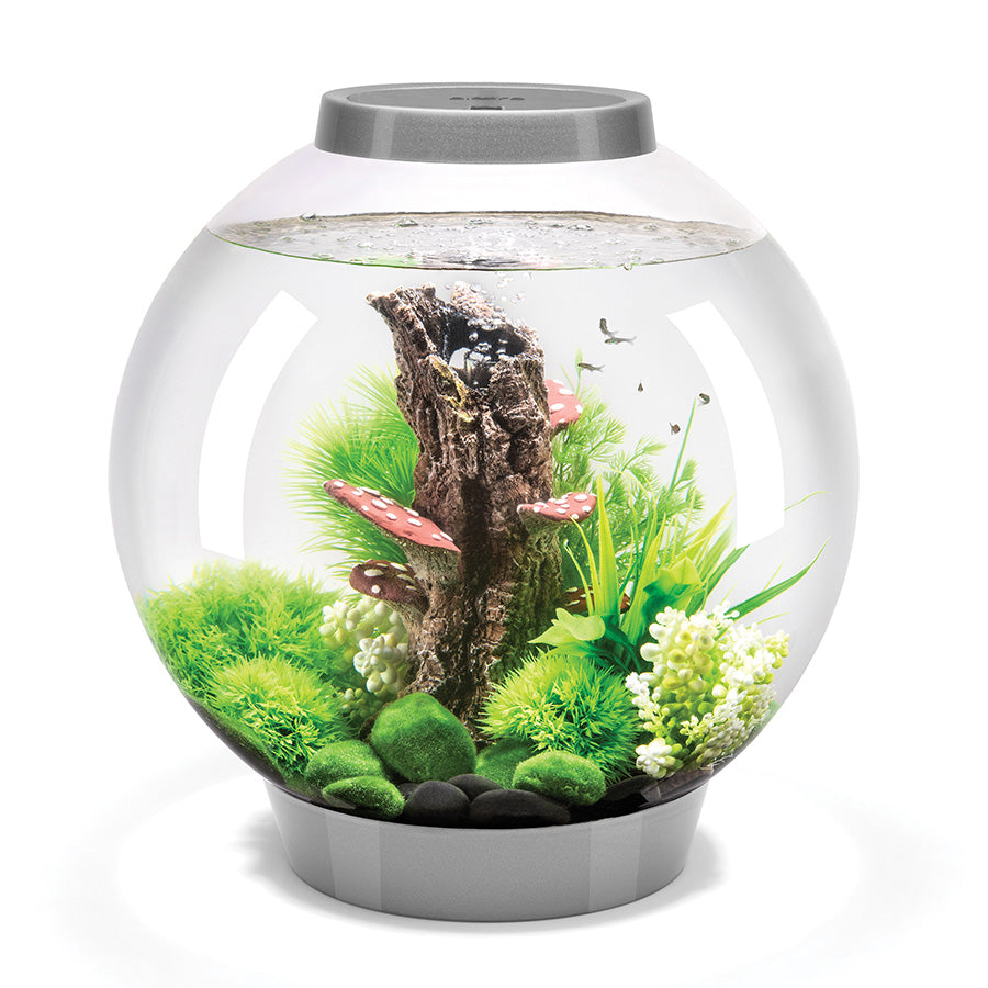 biOrb Classic LED Aquarium Kit Silver 30L | Complete Fish Tank Starter Set