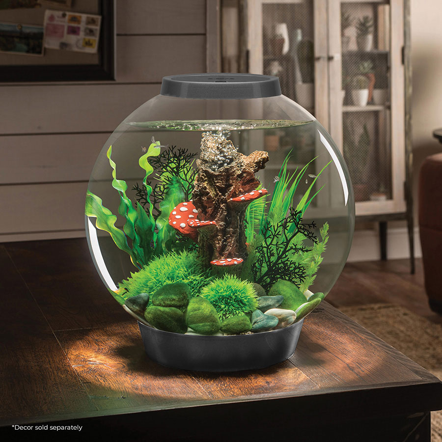 biOrb Classic LED Aquarium Kit Silver 30L | Complete Fish Tank Starter Set