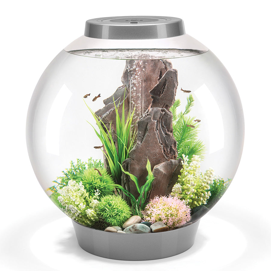 biOrb Classic LED Aquarium Starter Kit Silver 60L | Modern Fish Tank