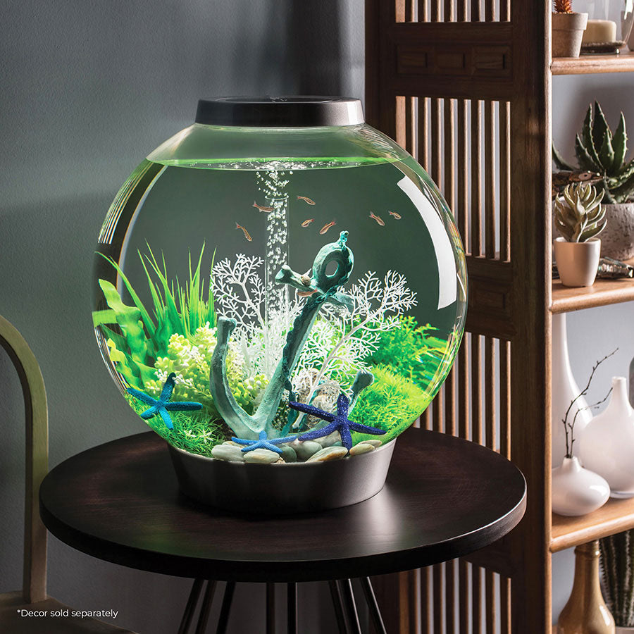 biOrb Classic LED Aquarium Starter Kit Silver 60L | Modern Fish Tank