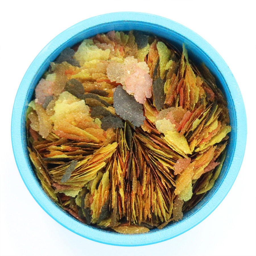 Aquarian Tropical & Temperate Fish Flake Food – Complete Daily Nutrition