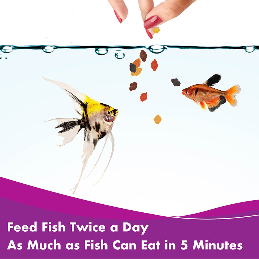 Aquarian Tropical & Temperate Fish Flake Food – Complete Daily Nutrition