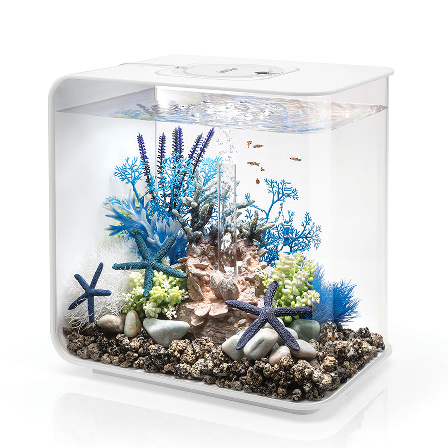 biOrb Flow LED Aquarium 30L | Modern Acrylic Fish Tank with 5-Stage Filtration