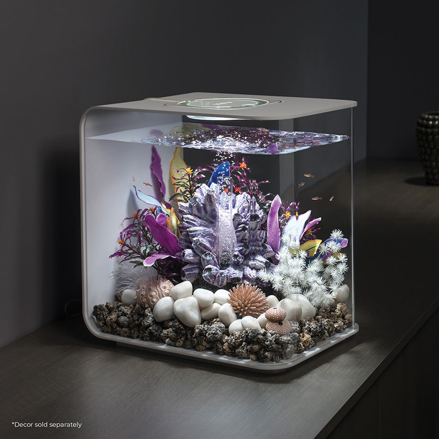 biOrb Flow LED Aquarium 30L | Modern Acrylic Fish Tank with 5-Stage Filtration