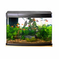 Love Fish Panorama Aquarium 64L | Curved Glass LED Fish Tank Kit