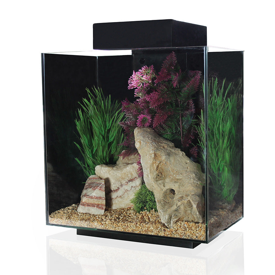 Aqua One Platform Aquarium Black 37L | Floating Effect LED Fish Tank