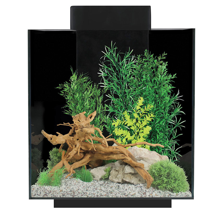 Aqua One Platform Aquarium Black 37L | Floating Effect LED Fish Tank