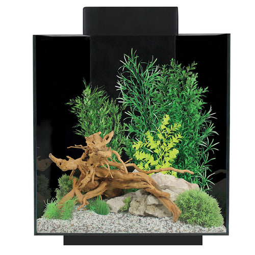Aqua One Platform Aquarium Black 37L | Floating Effect LED Fish Tank