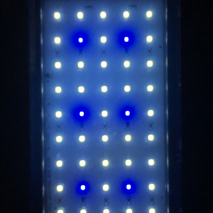 Aqua One Platform Aquarium Black 37L | Floating Effect LED Fish Tank