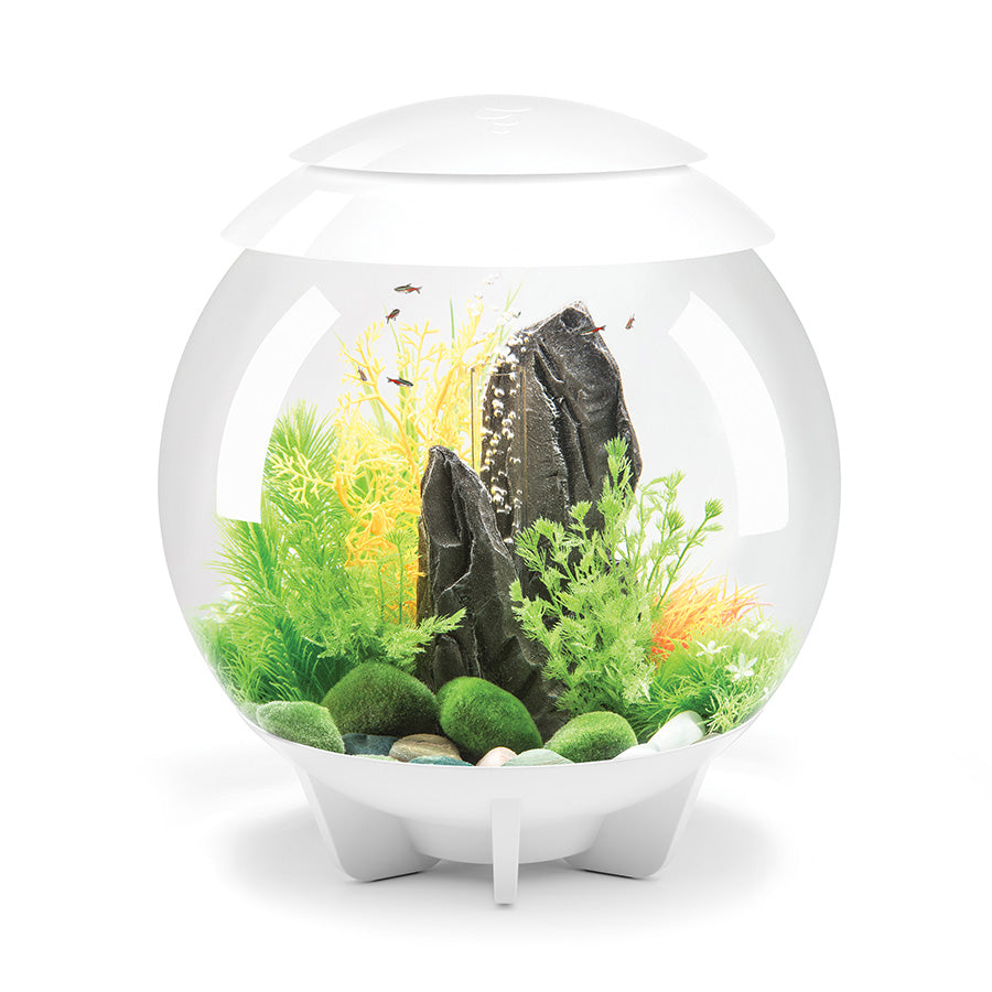 biOrb Halo LED Aquarium White 7,9 GAL (30L)| Premium Acrylic 360° Fish Tank with LED Lighting