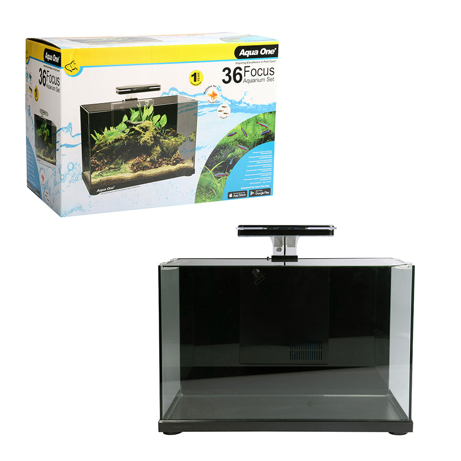 Aqua One Focus 36 Glass Aquarium Black 36L | Modern LED Fish Tank with Built-In Filter