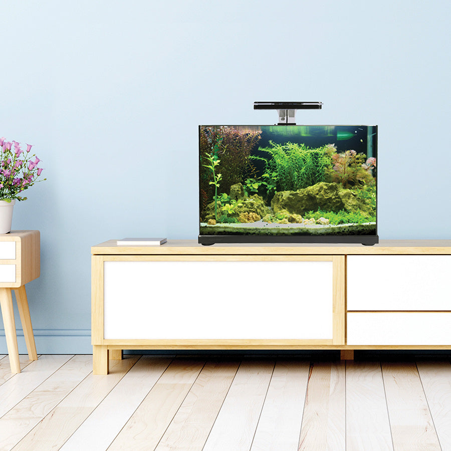 Aqua One Focus 36 Glass Aquarium Black 36L | Modern LED Fish Tank with Built-In Filter