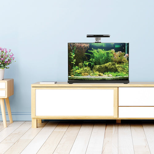 Aqua One Focus 36 Glass Aquarium Black 36L | Modern LED Fish Tank with Built-In Filter
