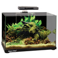 Aqua One Focus 36 Glass Aquarium Black 36L | Modern LED Fish Tank with Built-In Filter