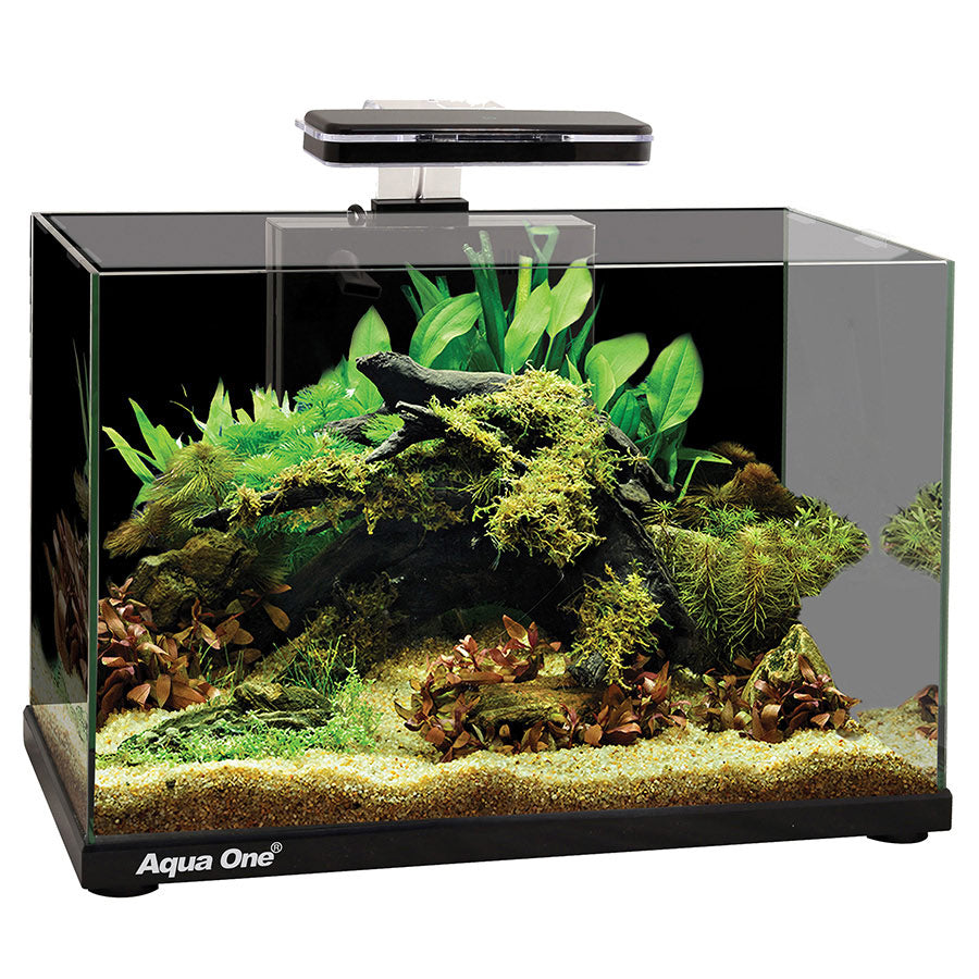 Aqua One Focus 36 Glass Aquarium Black 36L | Modern LED Fish Tank with Built-In Filter