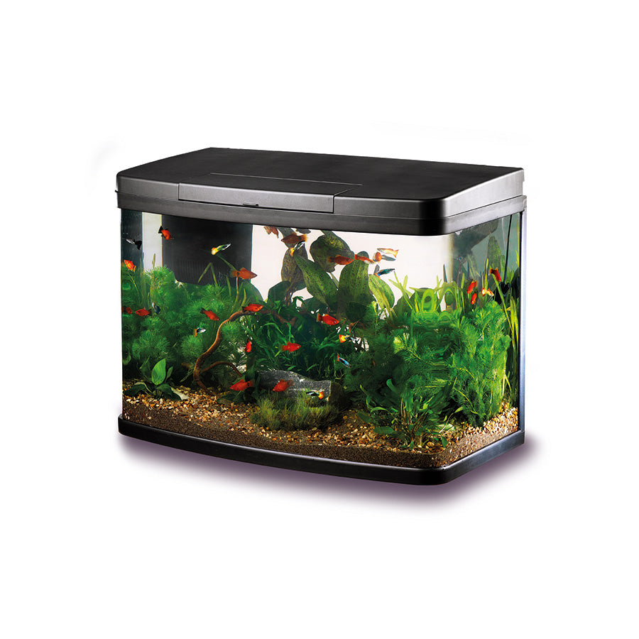 Love Fish Panorama Aquarium Black 40L | LED Fish Tank Starter Kit