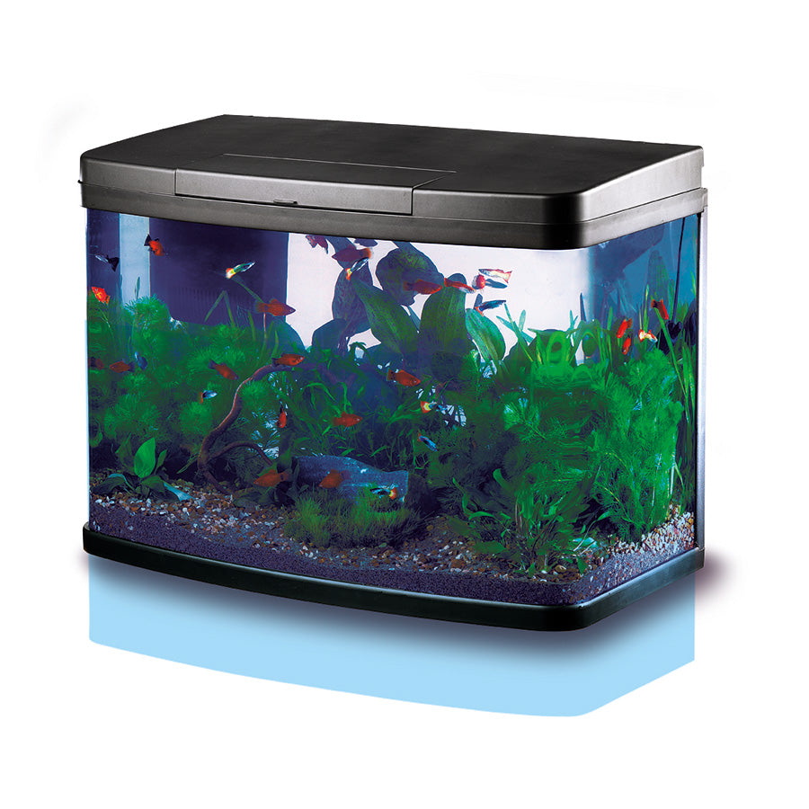 Love Fish Panorama Aquarium Black 40L | LED Fish Tank Starter Kit