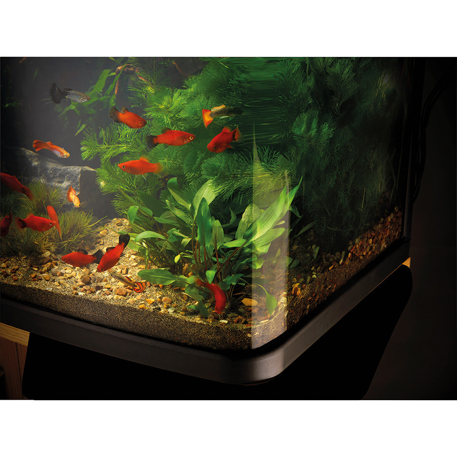 Love Fish Panorama Aquarium Black 40L | LED Fish Tank Starter Kit