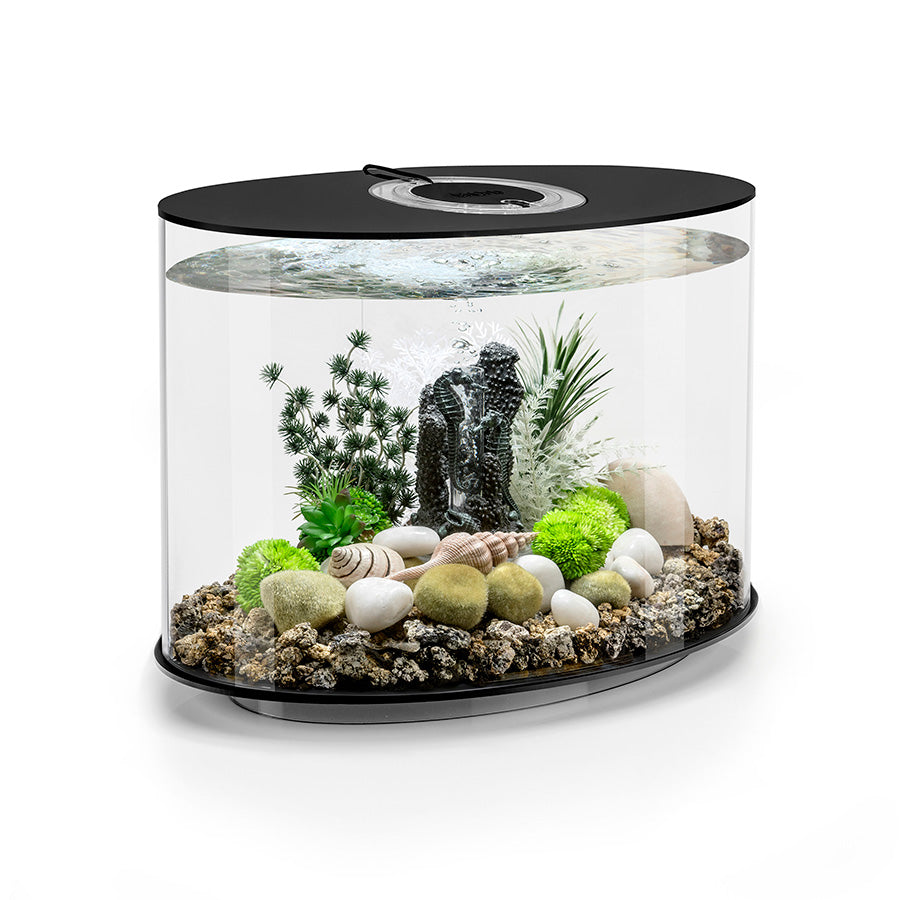 biOrb Loop LED Aquarium Black 30L | Premium Acrylic 360° Fish Tank with Filtration