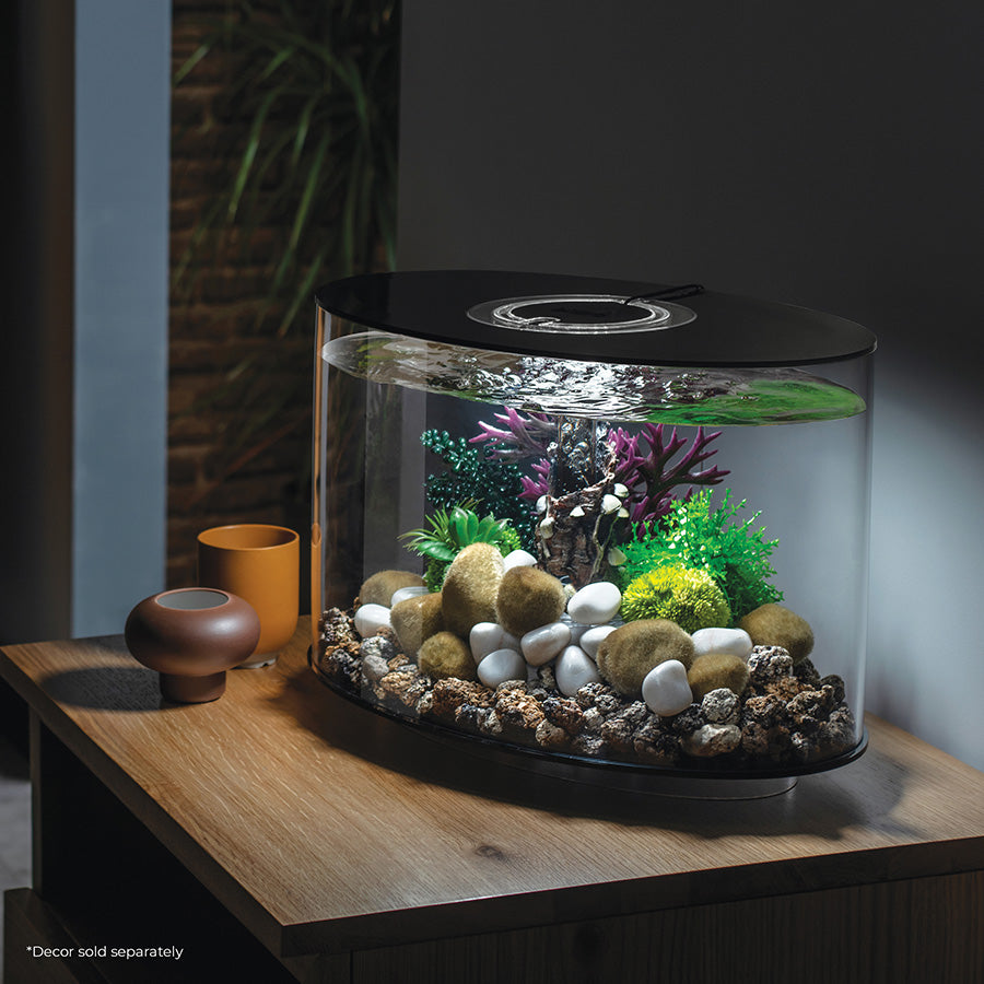 biOrb Loop LED Aquarium Black 30L | Premium Acrylic 360° Fish Tank with Filtration