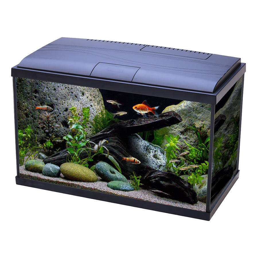 Love Fish Temperate Aquarium 56L | Complete LED Fish Tank Starter Kit