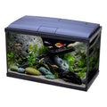 Love Fish Temperate Aquarium 56L | Complete LED Fish Tank Starter Kit