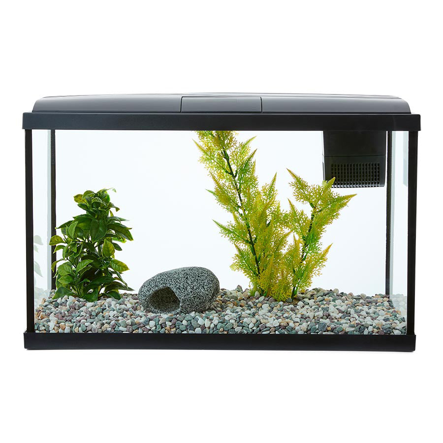Love Fish Temperate Aquarium 56L | Complete LED Fish Tank Starter Kit