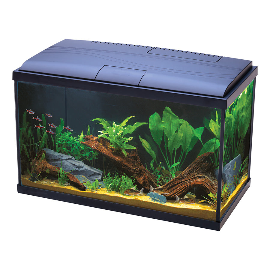 Love Fish Tropical Aquarium 56L | Complete LED Tropical Fish Tank Kit