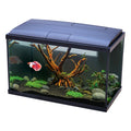 Love Fish Betta Aquarium 22L Black | Complete Tropical Fish Tank Kit