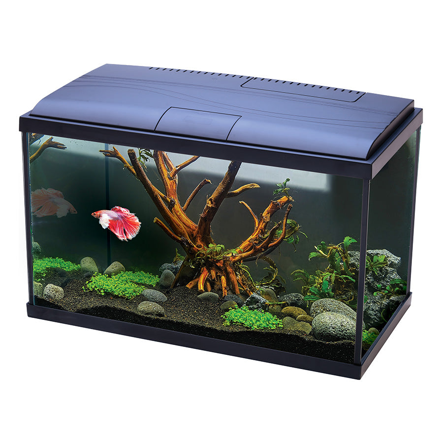 Love Fish Betta Aquarium 22L Black | Complete Tropical Fish Tank Kit