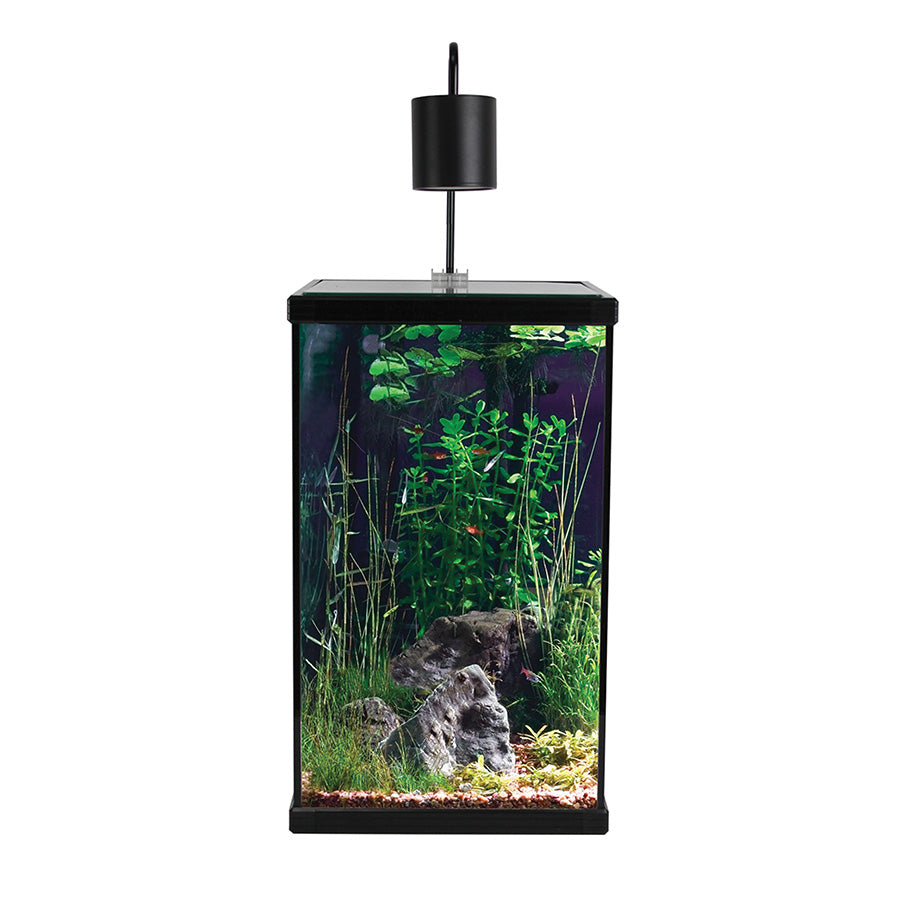 Aqua One Dynamic Aquarium 58L | Tall LED Fish Tank with AquaBac Filtration