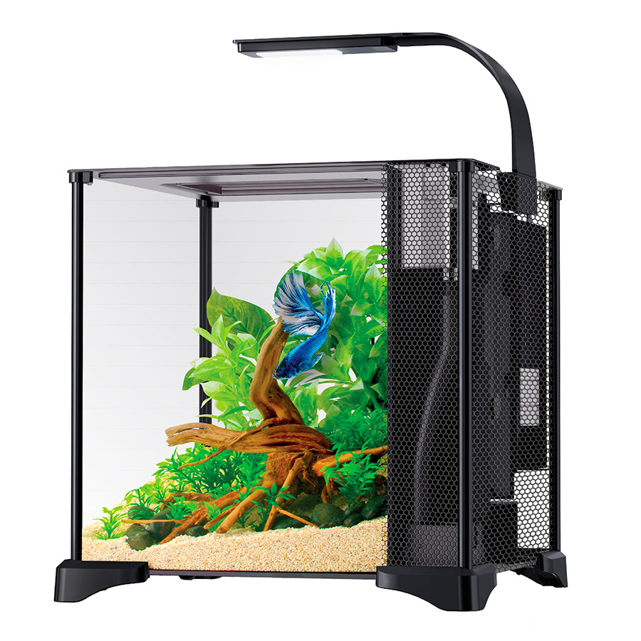 Fluval Betta Premium Aquarium Kit 20L | Advanced LED Betta Fish Tank