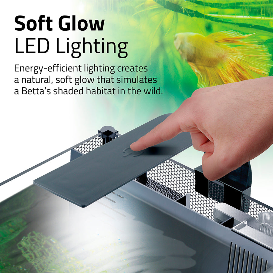 Fluval Betta Premium Aquarium Kit 20L | Advanced LED Betta Fish Tank